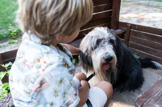 Quiet playful time of dog and child in shelter