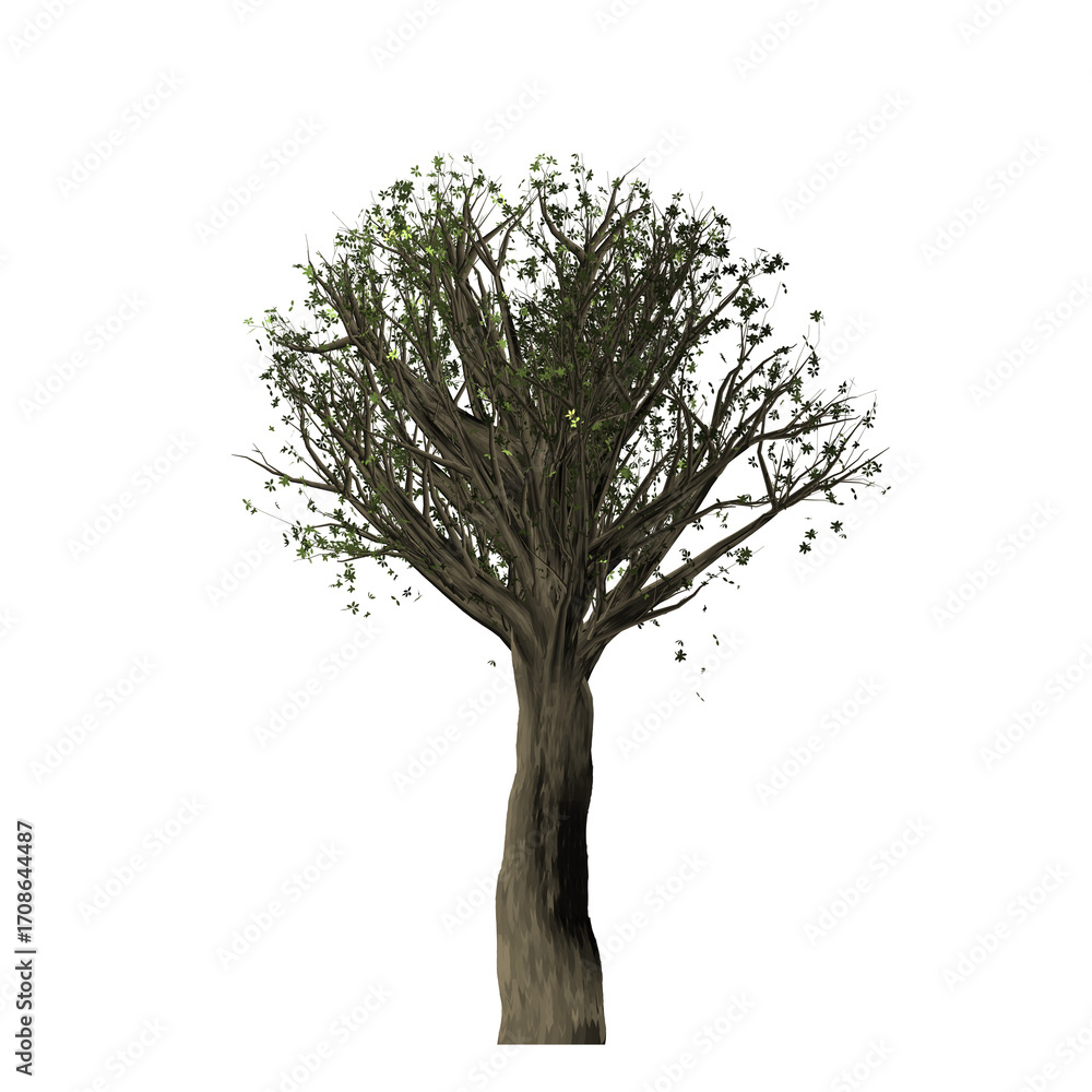 Poster a single tree with green leaves and a brown trunk isolated against a plain black background in a stu
