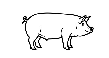 Illustration of a pig a simple and clean design of a farm animal
