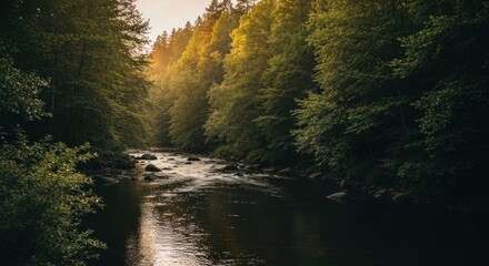 Sunlight streams through a tranquil forest, illuminating a rushing river