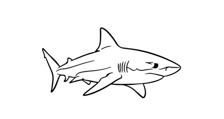 Fototapeta premium Illustration of a shark, ideal for marine biology or ocean conservation themes