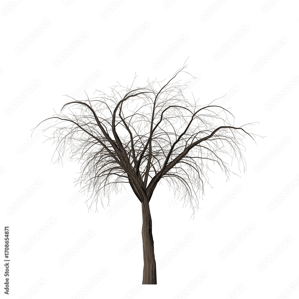 Poster a solitary tree with bare branches silhouetted against a stark black background in a simple composit