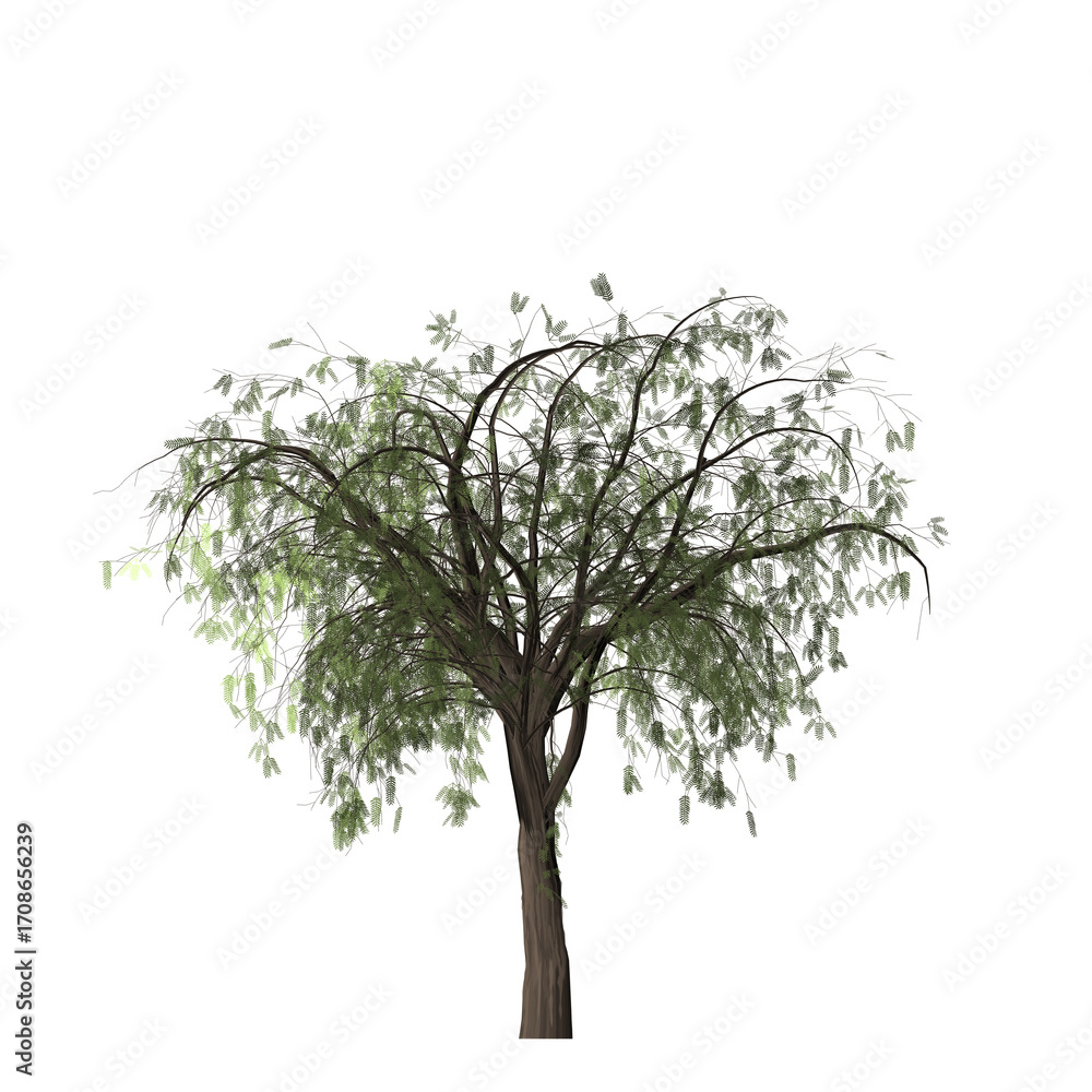 Poster a single tree with green leaves and a brown trunk isolated against a stark black background in a stu