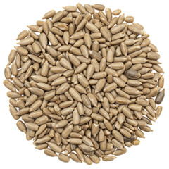 Sunflower seeds in a pile are arranged in a circle on a transparent background isolate