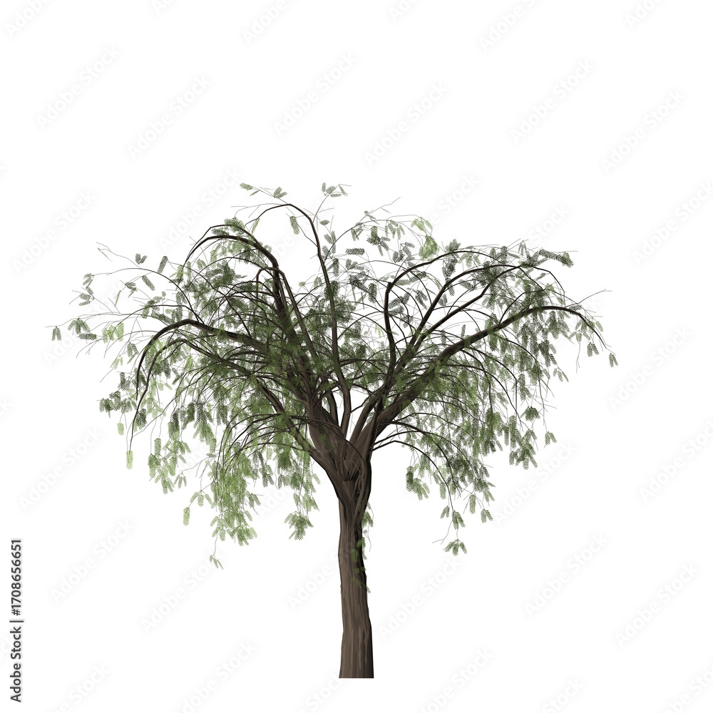 Poster a single tree with green leaves and a brown trunk stands against a stark black background in a simpl