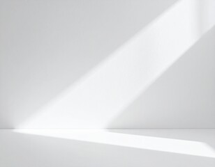 Bright Sunlight Casting Shadows in a Minimal White Space.