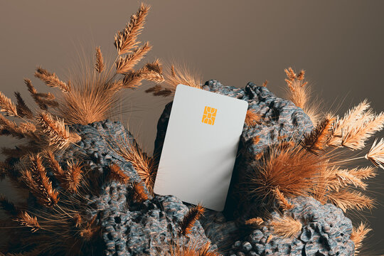 Unique rock-based card integrates nature with modern payment concept