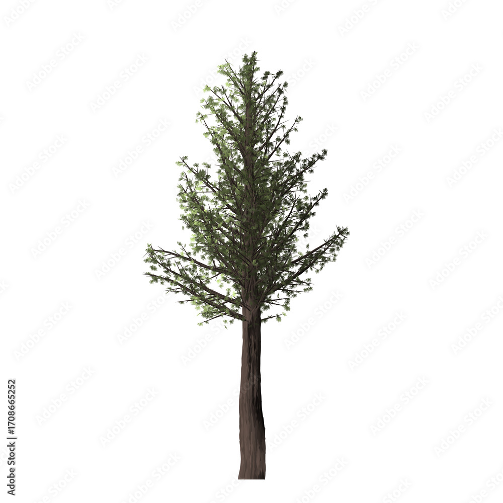 Poster a single tree with green leaves and a brown trunk isolated against a black background in the center 