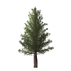Obraz premium A single green tree with a brown trunk stands against a black background in a simple illustration