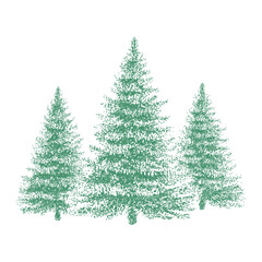 Vector illustration of three green fir trees in dotwork stippling style, detailed evergreen forest elements for Christmas, holiday design, natural decoration and graphic projects