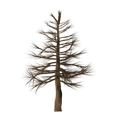 A solitary brown tree with sparse foliage stands against a stark black background in a simple image