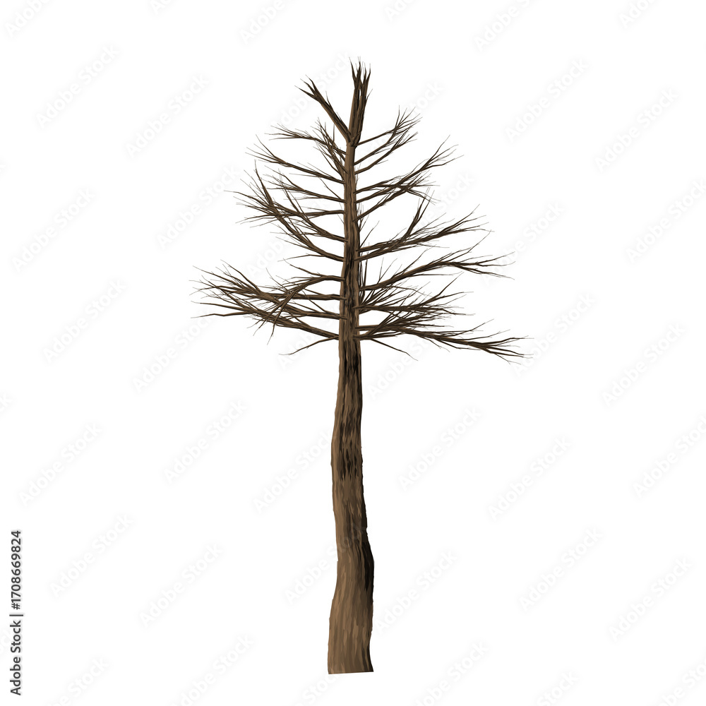 Poster isolated tree with brown trunk and bare branches against a black background in a studio shot view