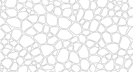 Obraz premium Abstract organic cell pattern in black and white style