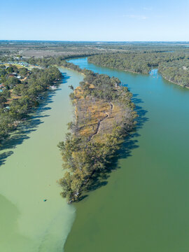 The junction of the Darling and Murray River. Wentworth. Australia.