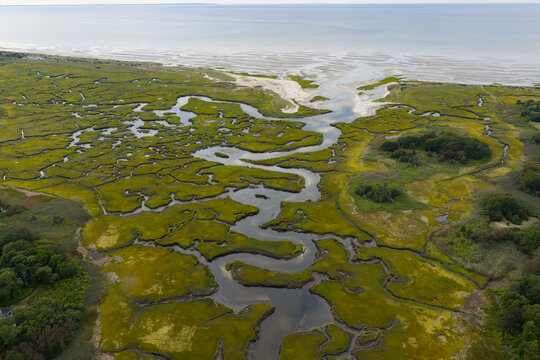 Sinuous channels meander through a beautiful salt marsh on Cape Cod, Massachusetts. These natural carbon sinks are sheltered nurseries for wildlife and act as a buffer against storms and waves.