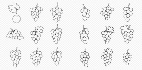 A collection of hand-drawn grape bunches, a single berry, and a leaf in a black outline sketch style on a transparent background.