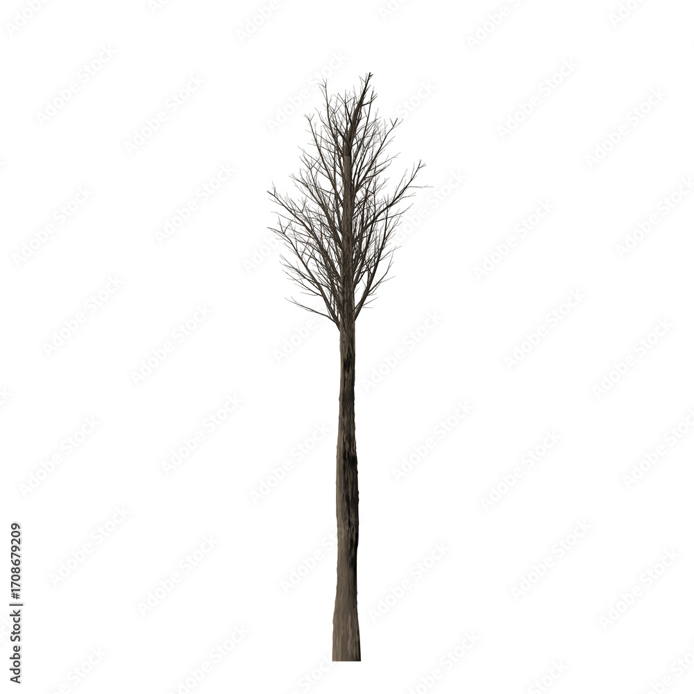 Poster a solitary tree with bare branches stands against a stark black background in a minimalist compositi