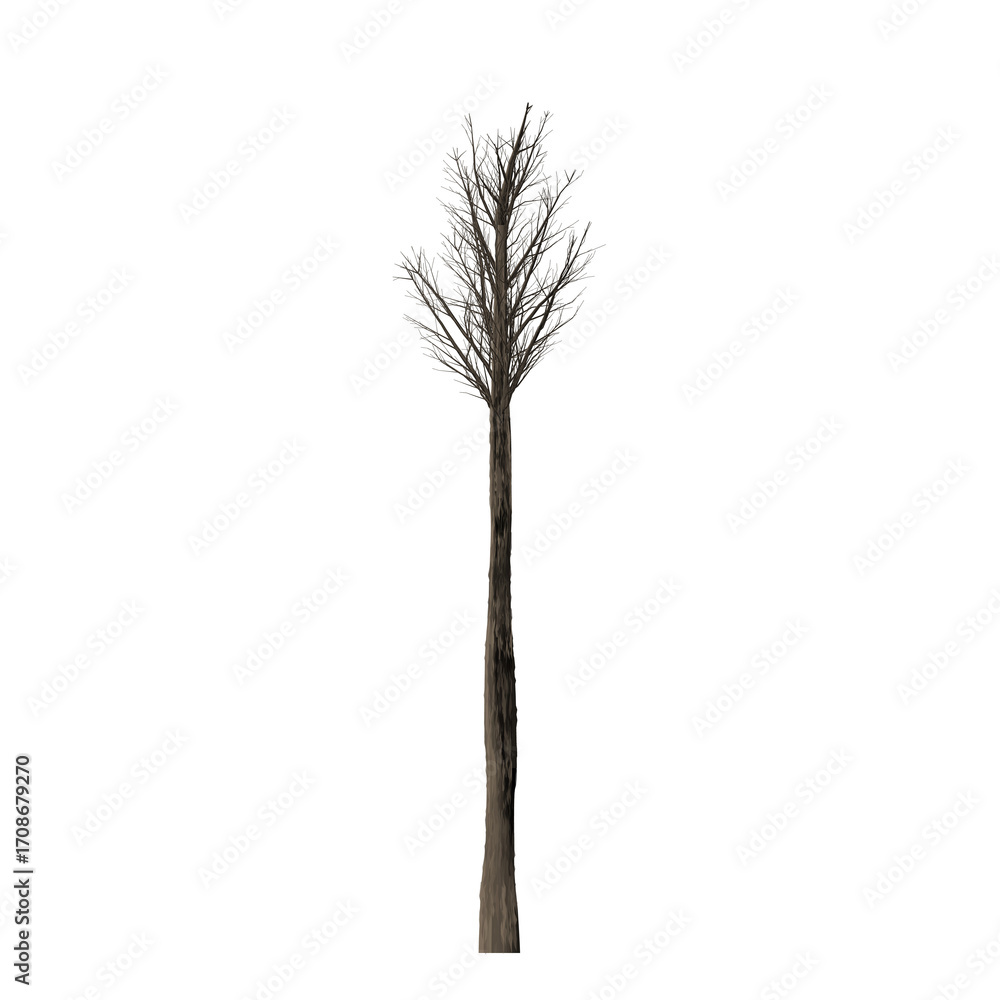 Poster a tall tree with a bare crown stands against a stark black background in a simple still life image v