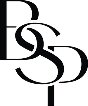 Vector BSP logo