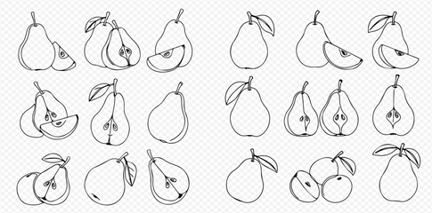 A collection of hand-drawn pear fruit illustrations, featuring whole, sliced, and halved pears in a simple black and white line art style.