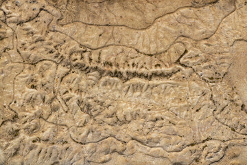 Close-up of textured stone surface with natural cracks, weathering patterns, and earthy beige brown tones