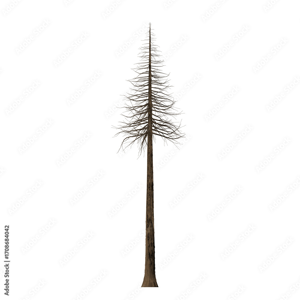 Aufkleber a single brown tree with a triangular crown stands against a black background in a simple compositio