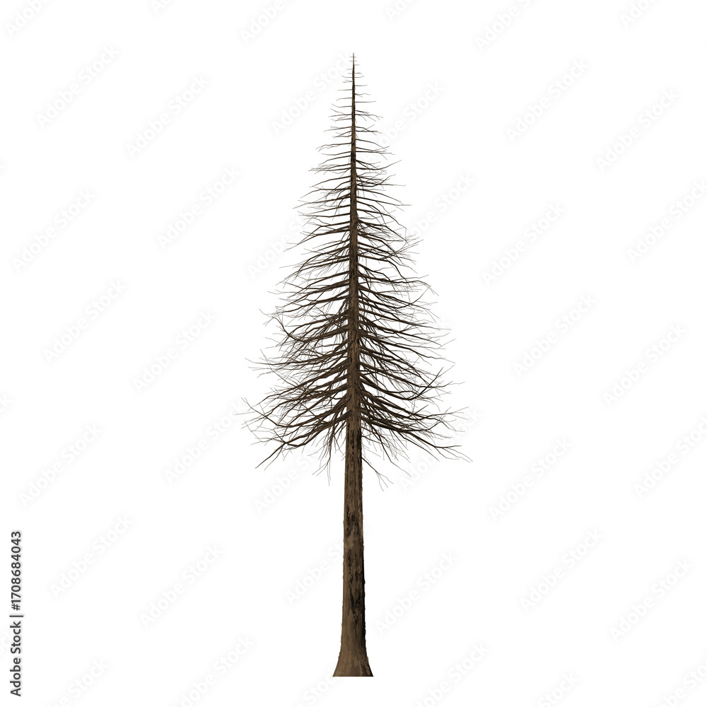 Poster a single isolated brown coniferous tree with a long trunk against a stark black background in a simp