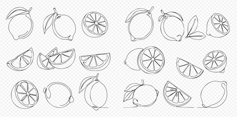 A collection of lemon fruits and slices drawn in a continuous single line art style on a transparent background.