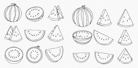 A set of hand-drawn watermelon illustrations, showing whole fruit, halves, wedges, and slices in a line art style.