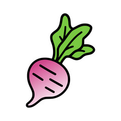 vector illustration of a radish with green leaves
