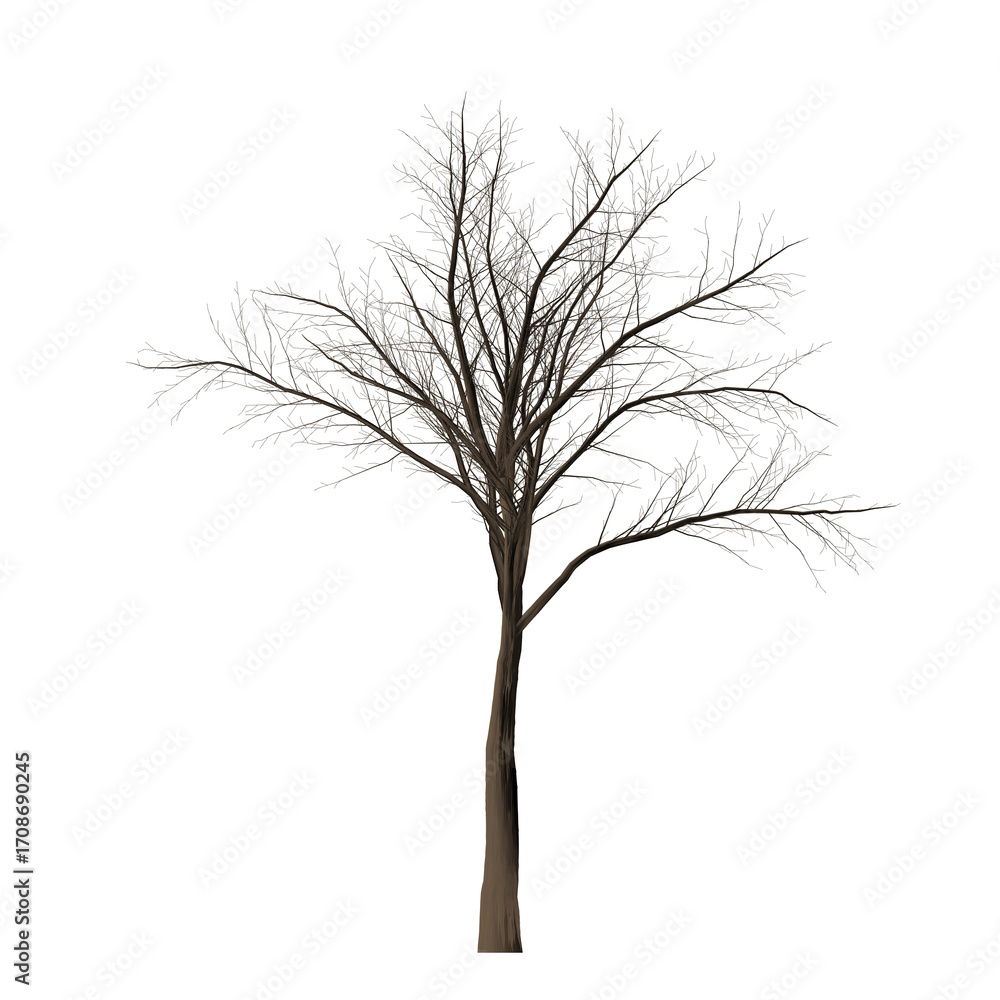 Poster a solitary tree with bare branches standing against a stark black background in a minimalist composi