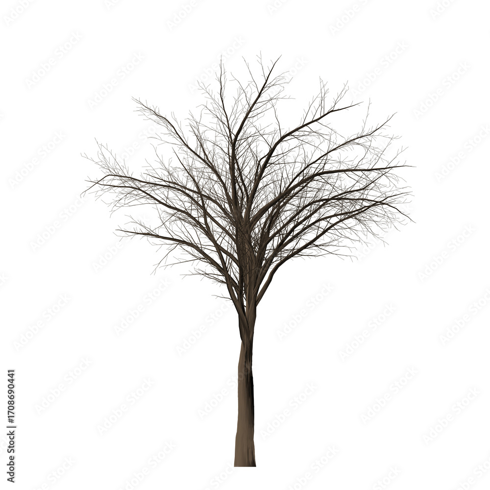 Poster a solitary tree with bare branches standing against a stark black backdrop in a minimalist compositi