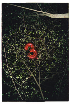 Red balloon number three is tangled in tree branches