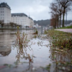 Close-up of resilient plants enduring floodwaters on a riverbank, with blurred urban buildings in the background
