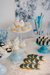 Winter-themed dessert table featuring cupcakes, cookies, and cake pops at a cozy celebration
