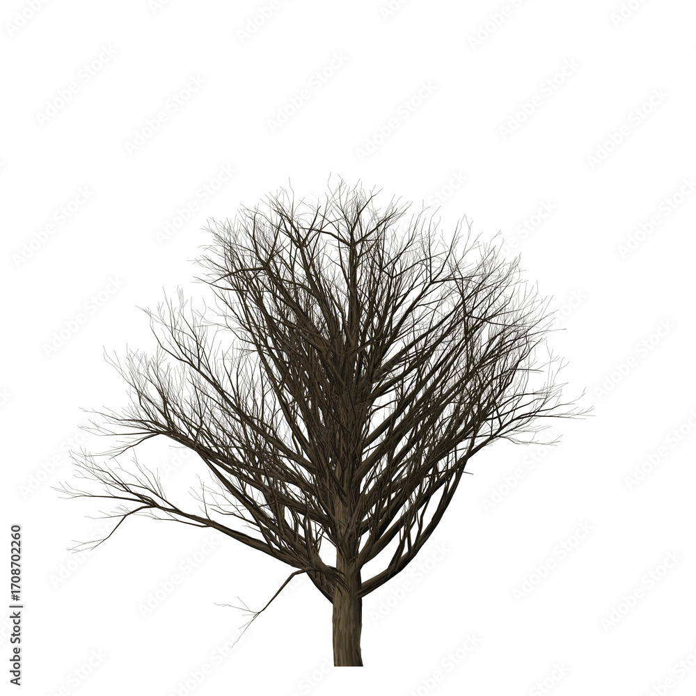 Poster a bare tree with many branches and a thick trunk against a stark black background in a studio settin
