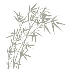 Fototapeta premium Stylized illustration of bamboo stalks and leaves in a light grey silhouette on black isolated on a transparent background