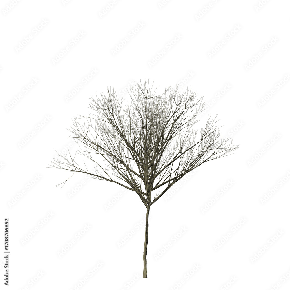 Poster a solitary tree with bare branches stands against a stark black background in a minimalist compositi