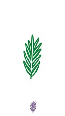 Fototapeta premium Simple green leaf illustration