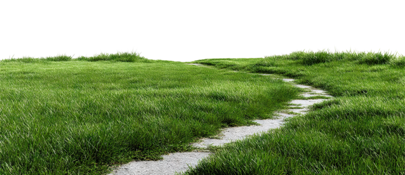 Winding path leading through lush green grass lawn, isolated on transparent cutout background
