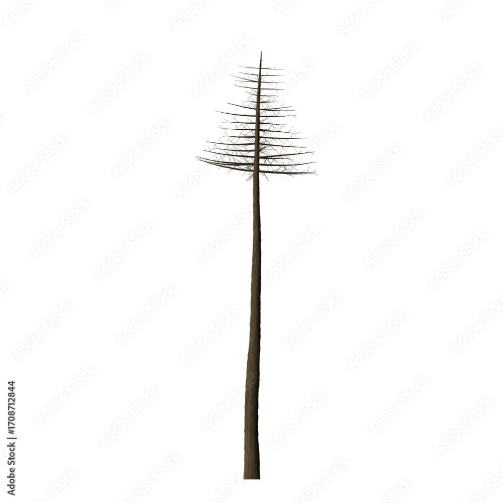 Aufkleber a digitally rendered image showing a single stylized tree against a dark black background in the cen