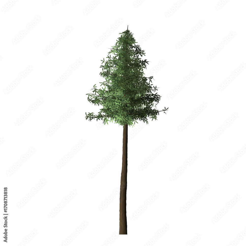 Poster a single tall tree with green leaves and a brown trunk isolated against a black background in a digi