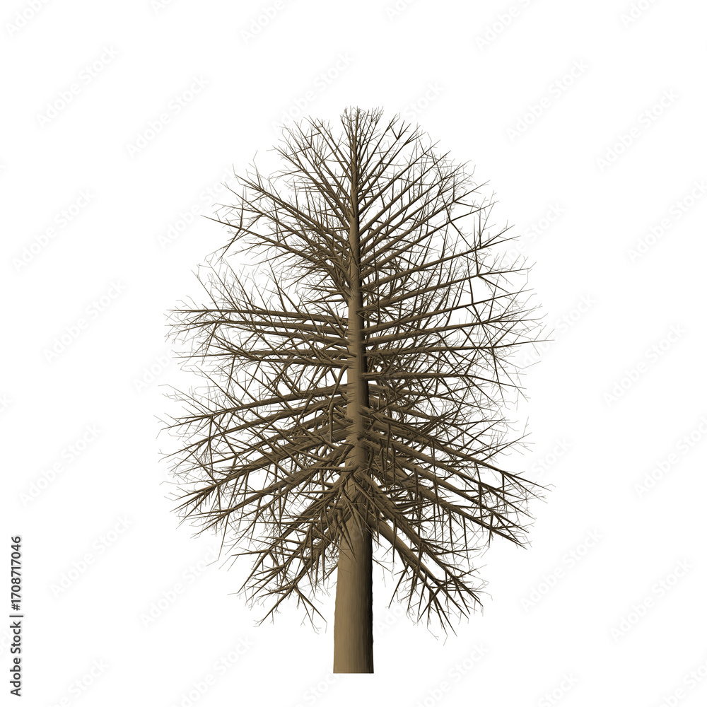 Aufkleber a leafless tree with brown branches and trunk isolated against a black background in a digital rende