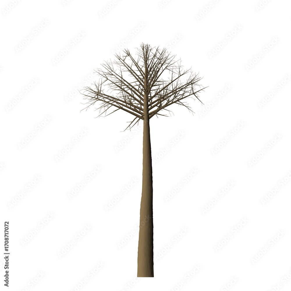 Fototapete a digitally rendered tree with a long trunk and sparse branches against a black background stands ta