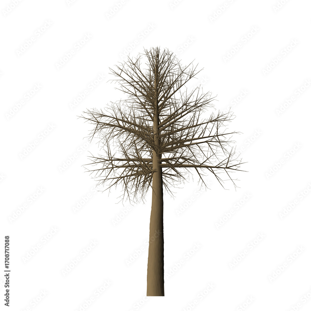 Fototapete a rendered image of a bare tree with a brown trunk and branches against a black background in isolat