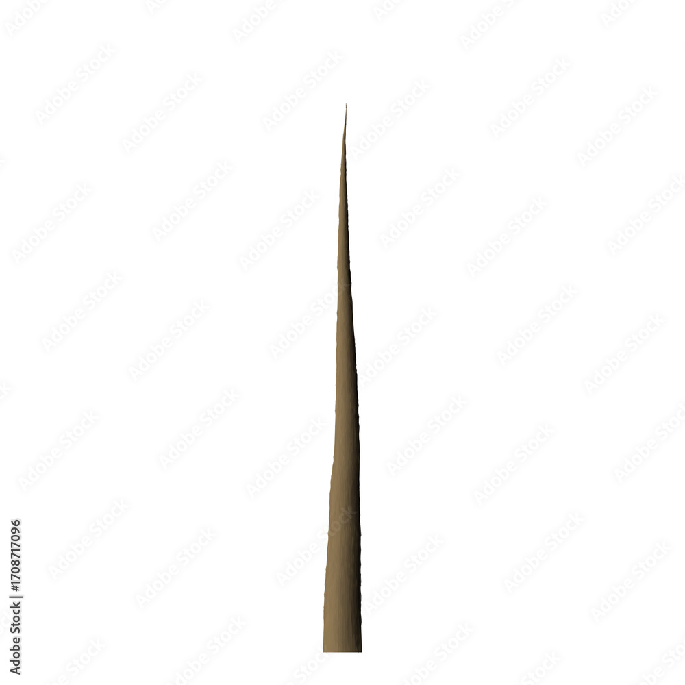 Fototapete a slender brown object extending vertically against a dark background with subtle light variations