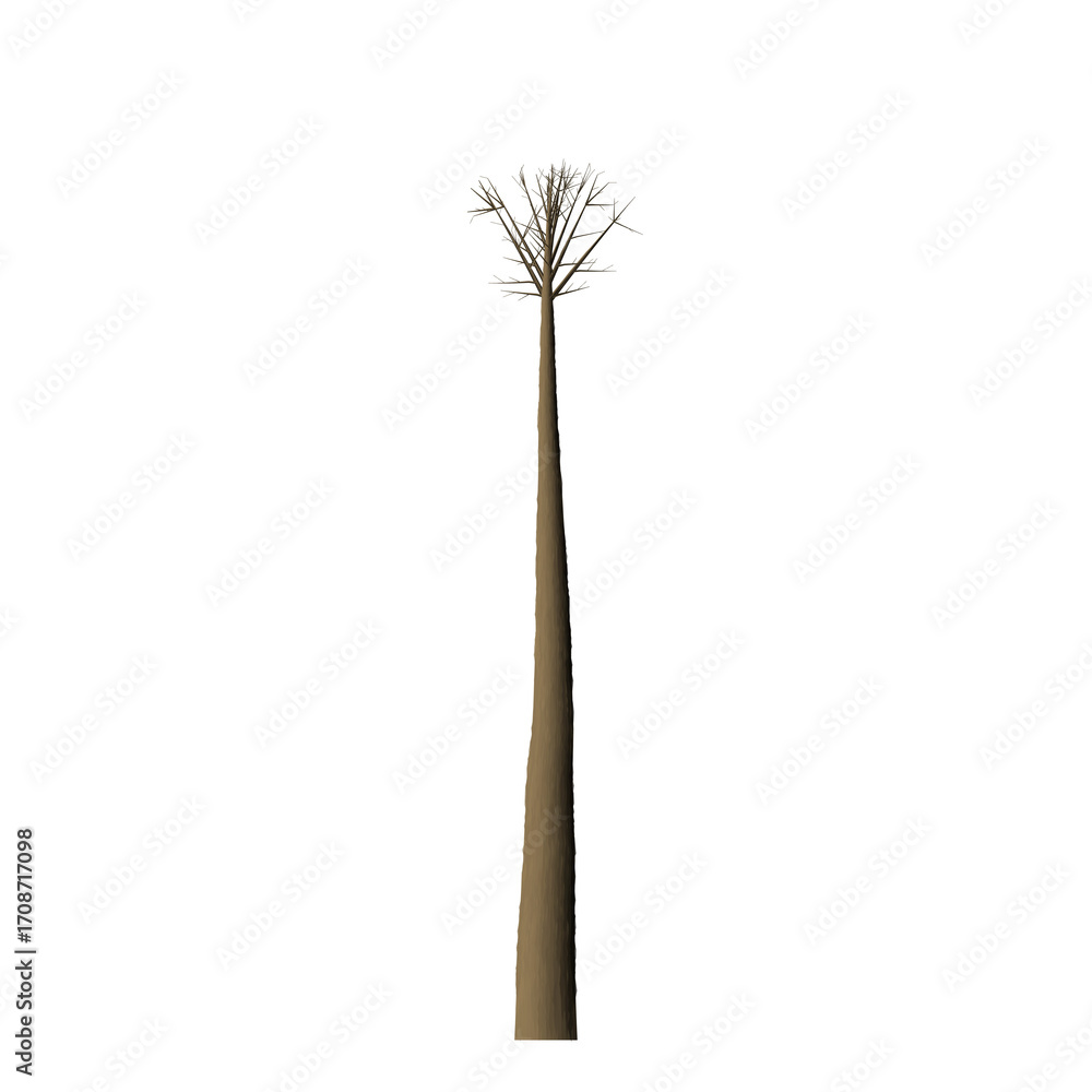 Poster a tall brown pole with a cluster of branches at the top against a stark black background image view
