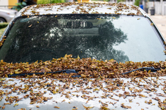 Close-up view of a car windshield and wipers covered with a thick layer of dry brown leaves, representing neglect, autumn season, or environmental concepts. Perfect for themes about time passing, aban