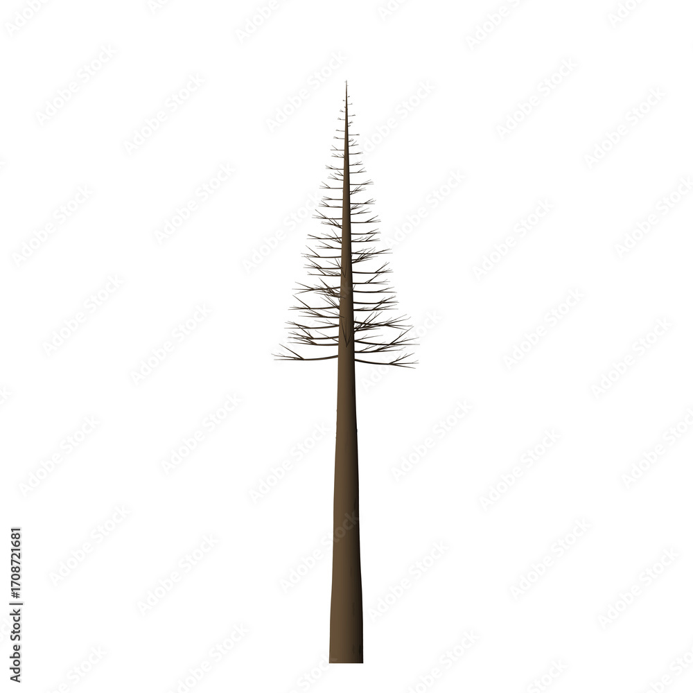 Poster a simple illustration of a tall thin tree with a triangular crown against a stark black background s