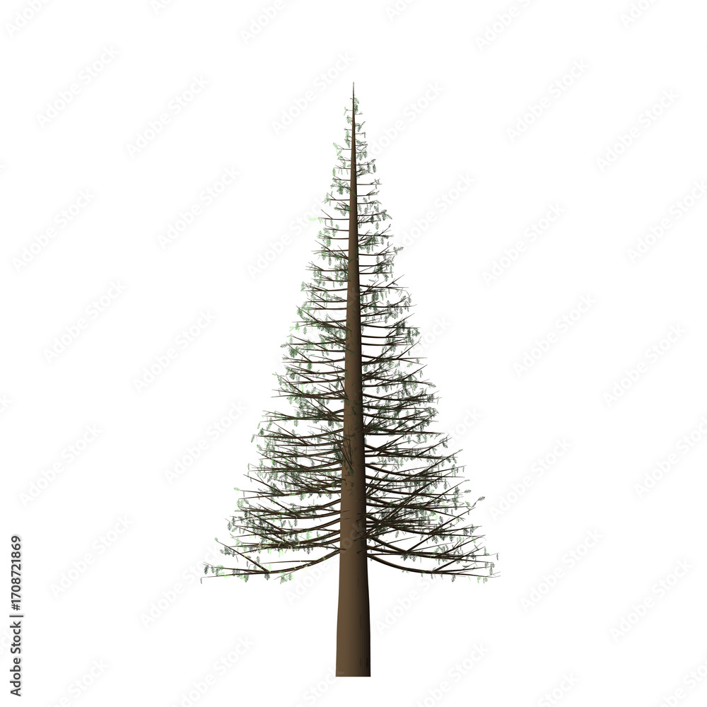 Poster a single tall evergreen tree with a brown trunk and green needles against a black background in isol